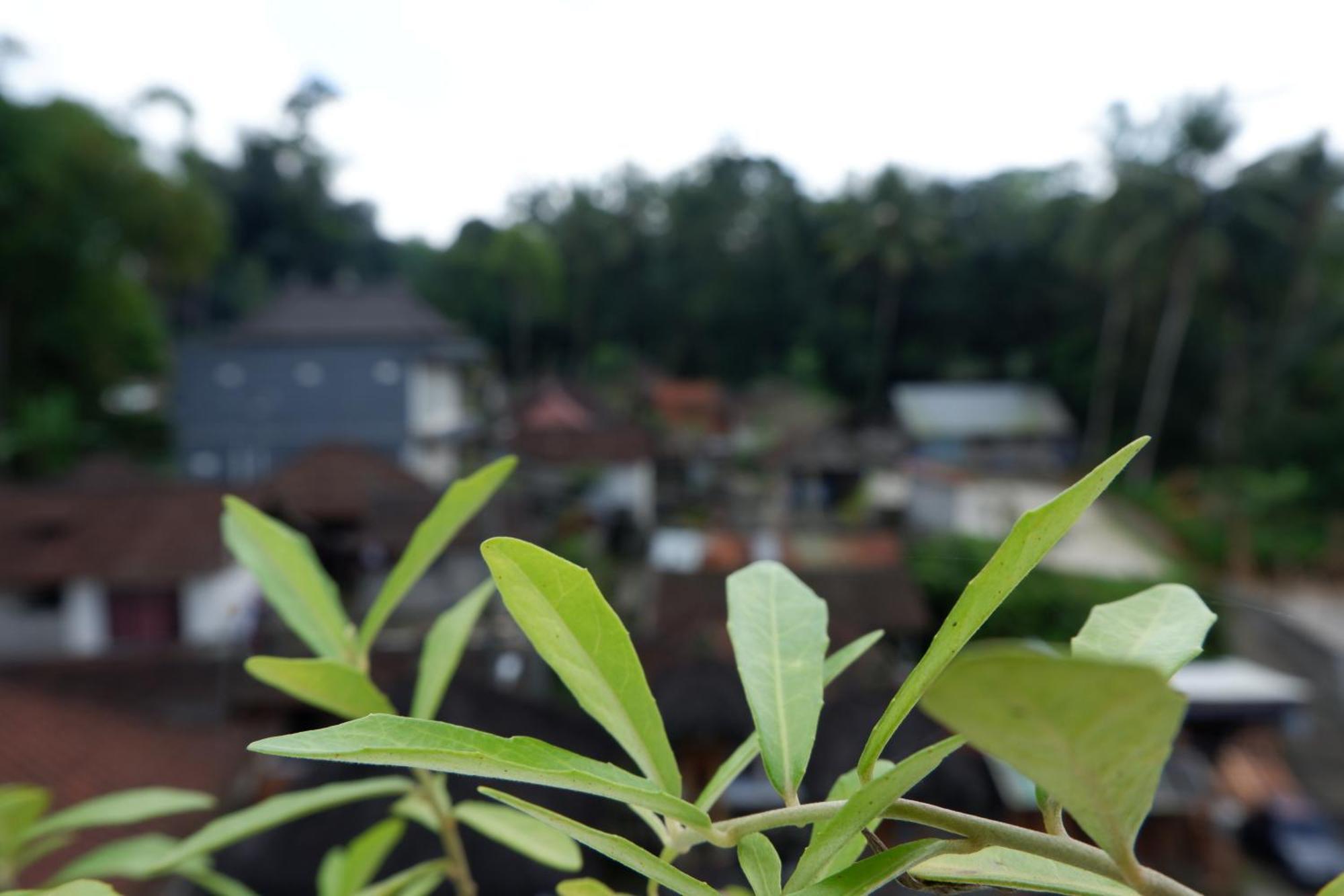 Ramaya Ubud View By Eps Eksteriør billede